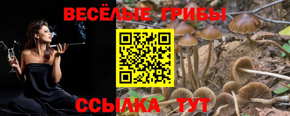 Лесной  Псилоцибиновые грибы мицелий  Вход с VPN 